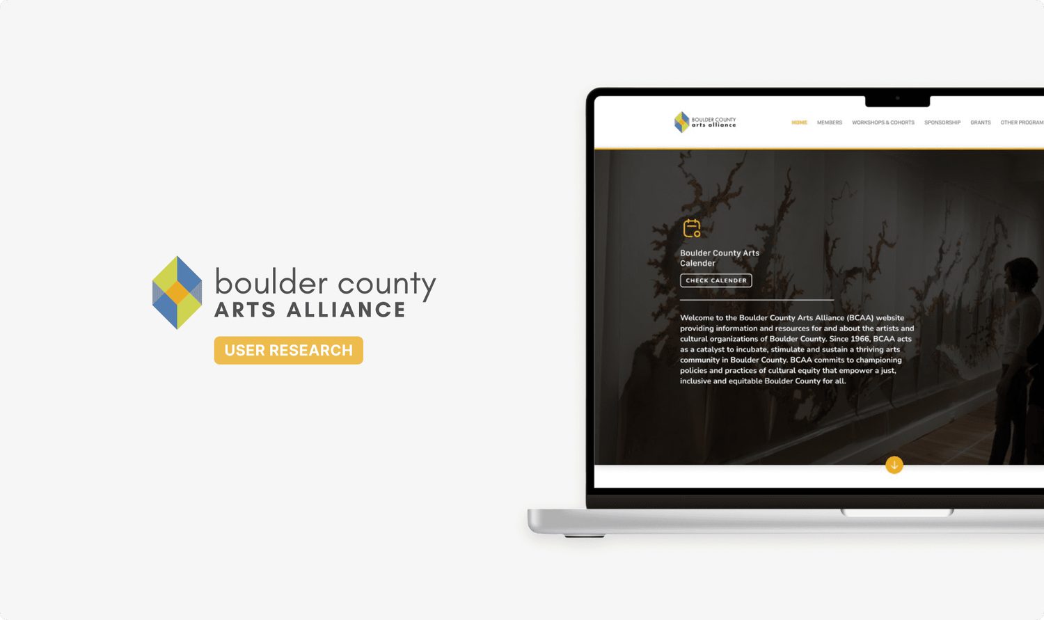 Research artefacts and findings from the Boulder County Arts Alliance study.