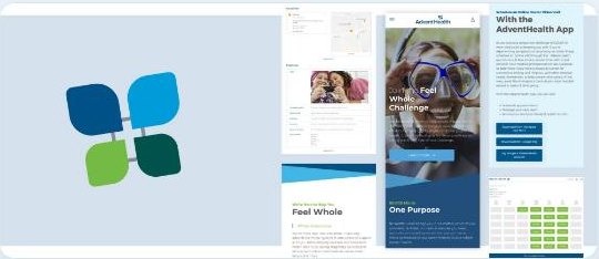A spread of platform surfaces including provider profiles, wellness content, video visits and scheduling.
